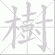 樹笔顺