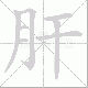 肝笔顺