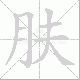 肤笔顺