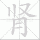 肾笔顺
