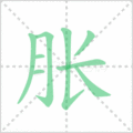 胀笔顺