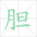 胆笔顺