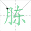 胨笔顺
