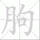朐笔顺