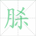脎笔顺