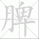 脾笔顺