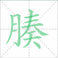 腠笔顺
