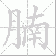 腩笔顺