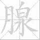 腺笔顺