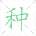 种笔顺